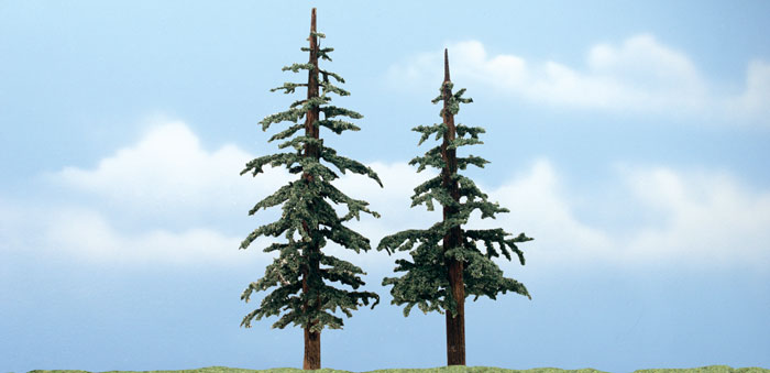 5 - 6 in. Lodgepole - Pack of 2