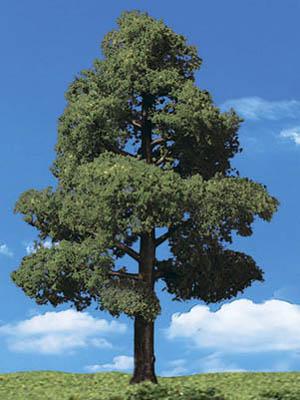 78 in Classic Trees Sun Kissed