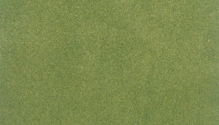 33 x 50 in. Spring Grass Mats