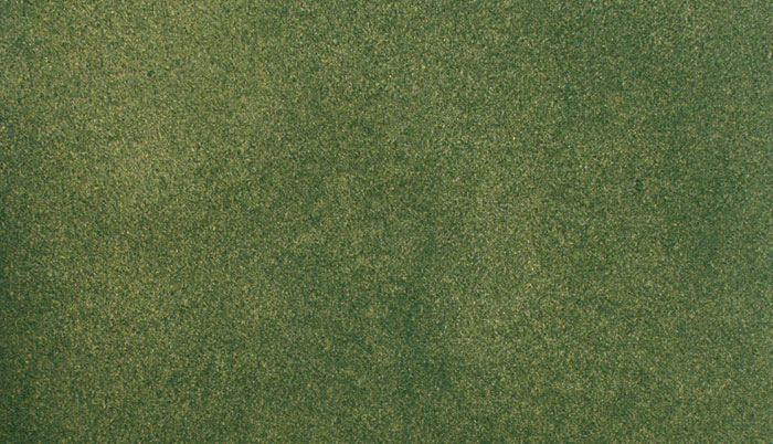 25 x 33 in. Green Grass Mats