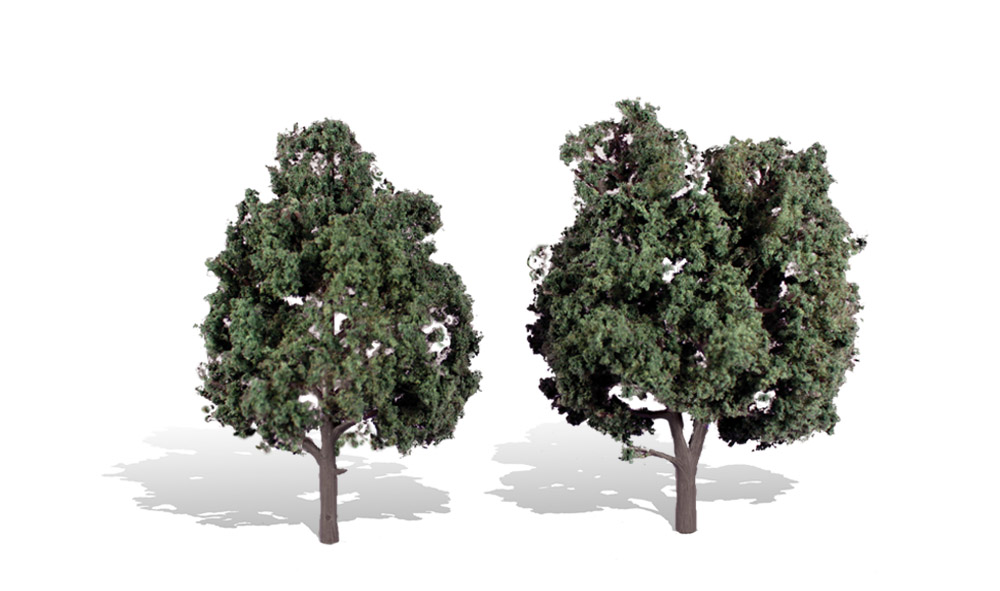 5-6 in. Cool Shade Trees