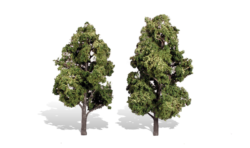 6-7 in. Sun Kissed Trees