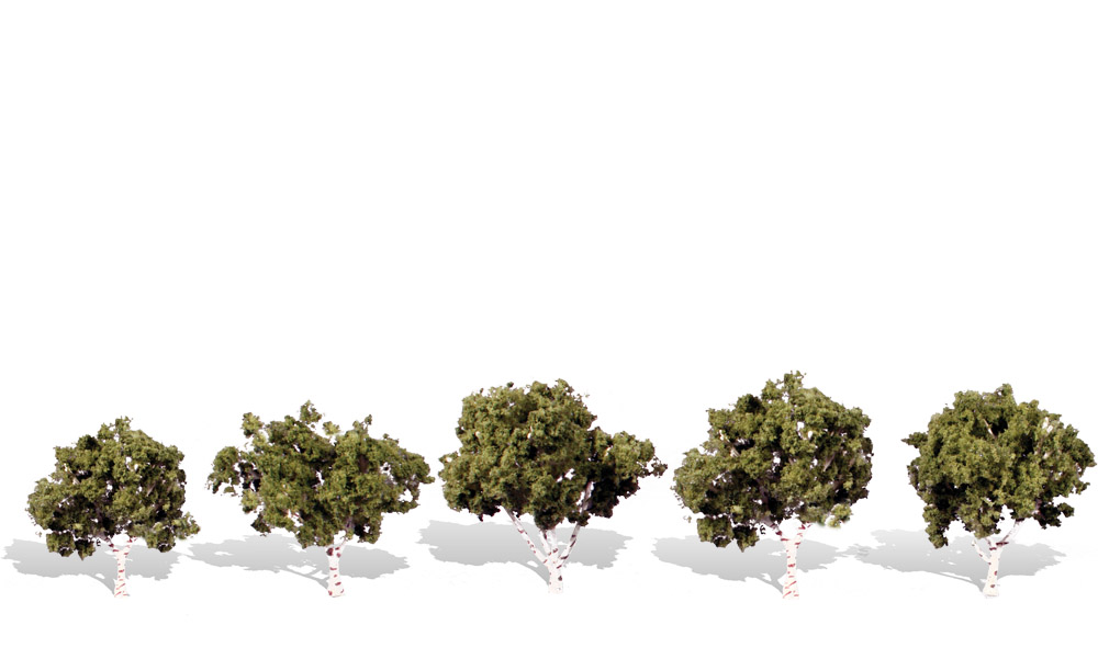 1.25-2 in. Waters Edge Tree