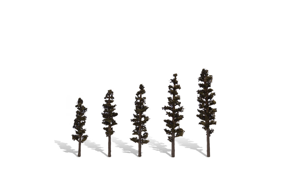 2.5 - 4 in. Standing Timber
