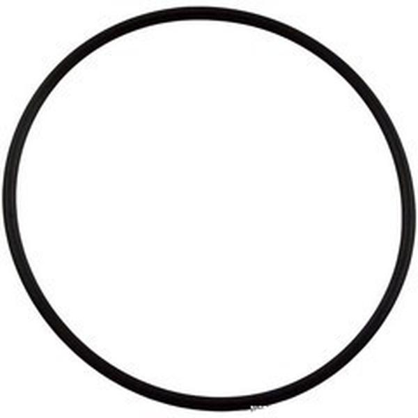 2 in. Tailpiece O-Ring for Heater Unions