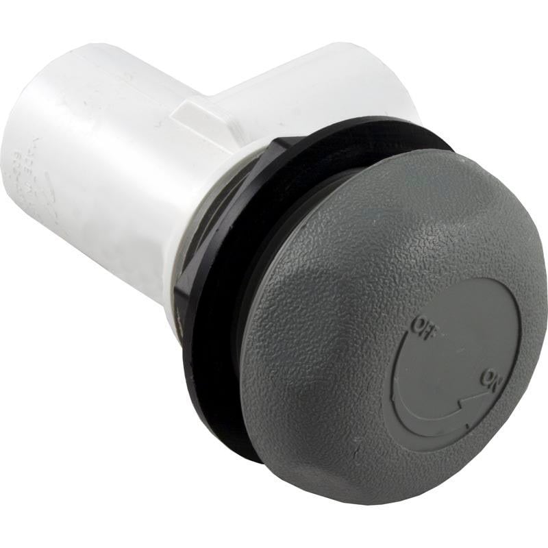 600-4367 1 in. Waterway Valve Assembly, Gray
