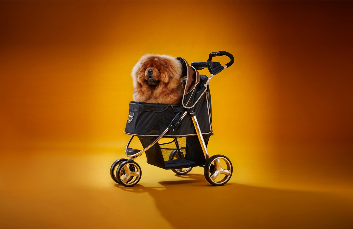 Picture of Ibiyaya FS1616-G Monarch Premium Pet Jogger&#44; Luxury Gold