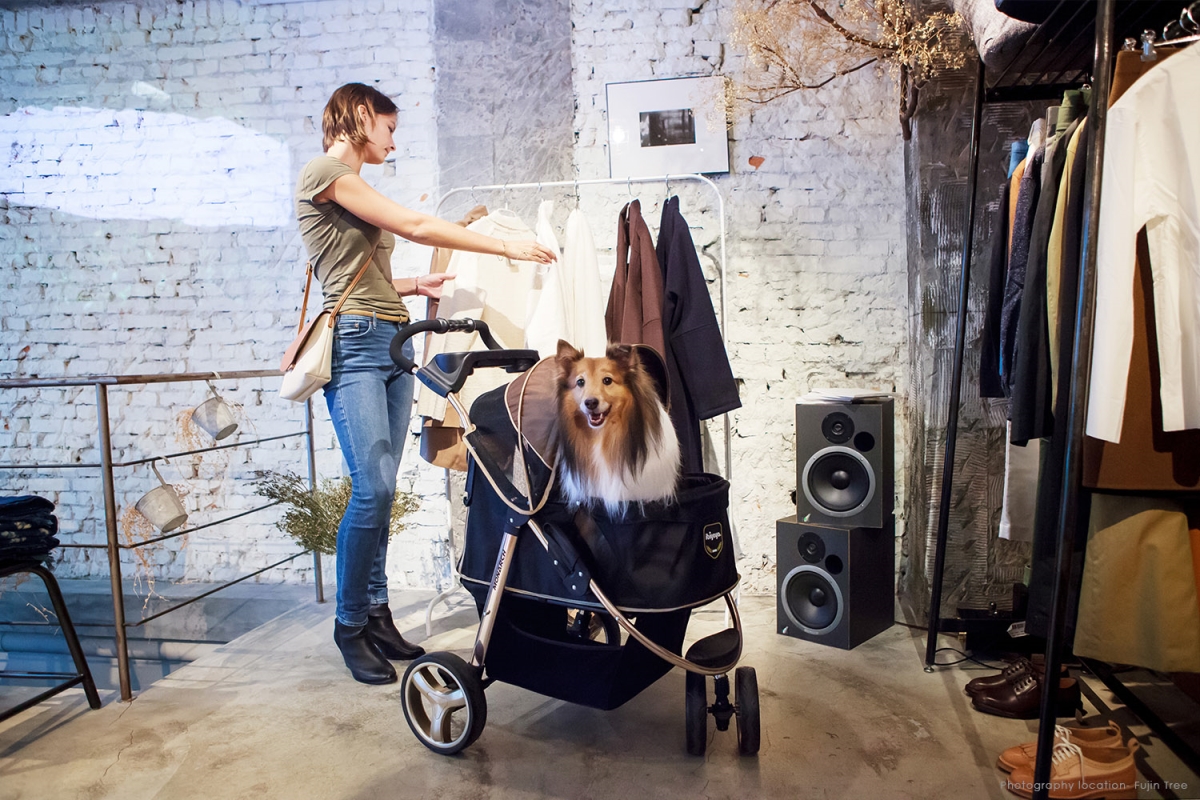 Picture of Ibiyaya FS1616-G Monarch Premium Pet Jogger&#44; Luxury Gold