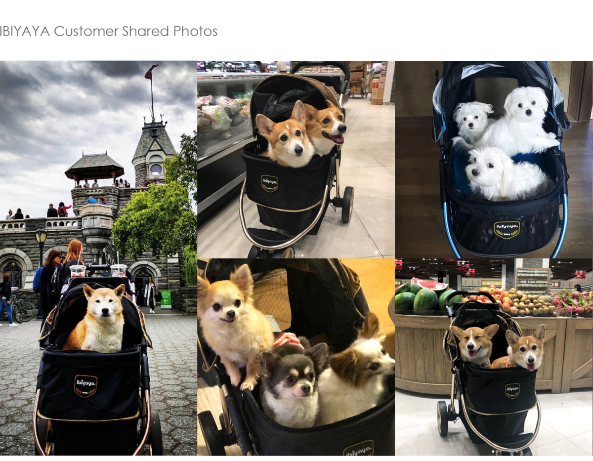 Picture of Ibiyaya FS1616-G Monarch Premium Pet Jogger&#44; Luxury Gold