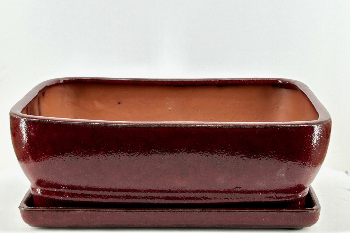 L189a Parisian Red Rectangle Ceramic Bonsai Pot with Humidity & Drip Tray