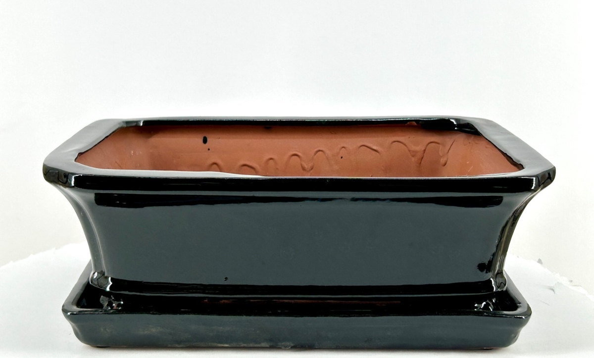 L190a Black Rectangle Ceramic Bonsai Pot with Humidity & Drip Tray