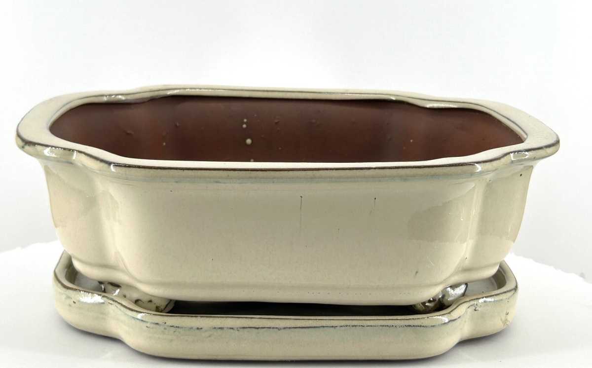 L191a Beige Rectangle Ceramic Bonsai Pot with Humidity & Drip Tray