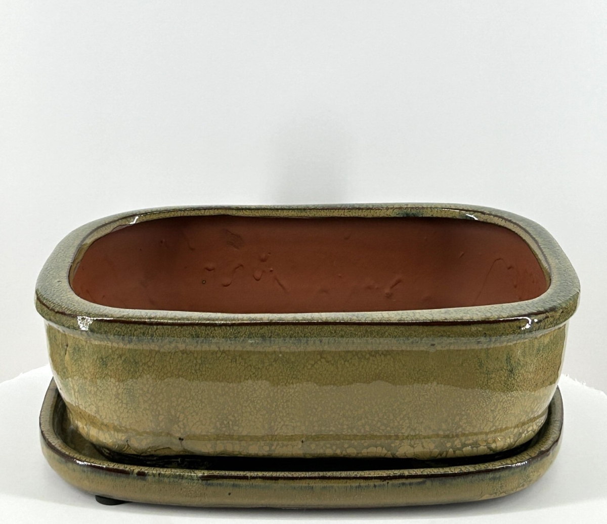 L194a Olive Green Rectangle Ceramic Bonsai Pot with Humidity Drip Tray