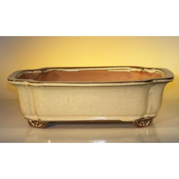 L198 Rectangle Beige Ceramic Bonsai Pot - 12 x 9.5 x 3.37 in.