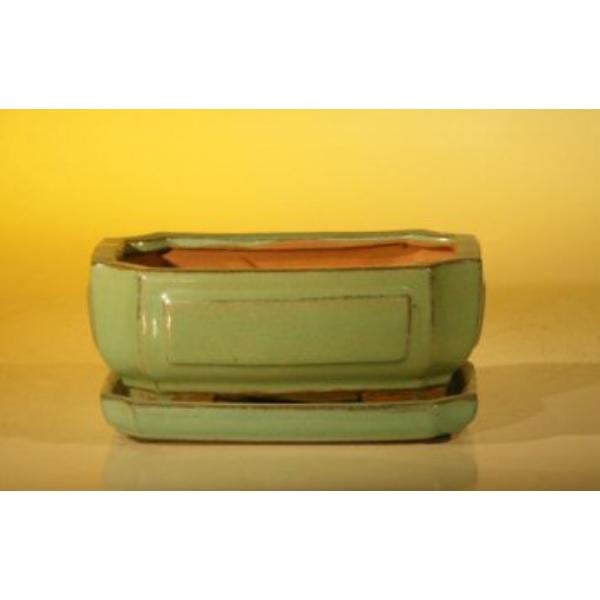 L202 Rectangle Professional Series Light Green Ceramic Bonsai Pot with Attached Humidity & Drip Tray - 6.37 x 4.75 x 2.62 in.