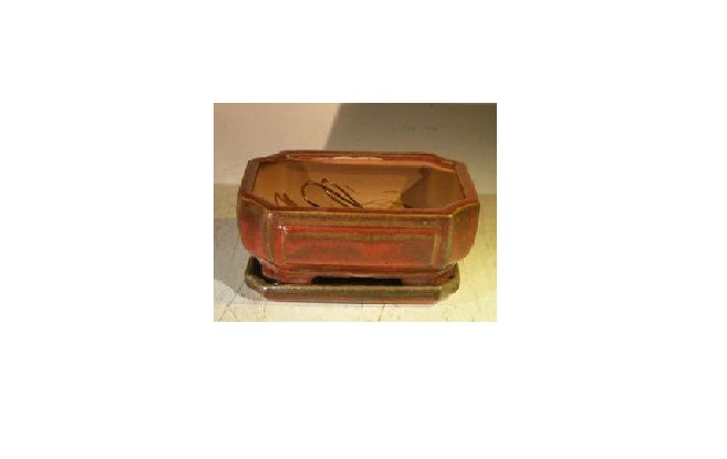 L206 Rectangle Professional Series Parisian Red Ceramic Bonsai Pot with Attached Humidity & Drip Tray - 6.37 x 4.75 x 2.62 in.