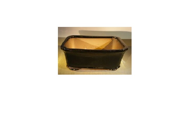 L260 Rectangle Professional Series Black Ceramic Bonsai Pot - 12.5 x 10.5 x 4.5 in.