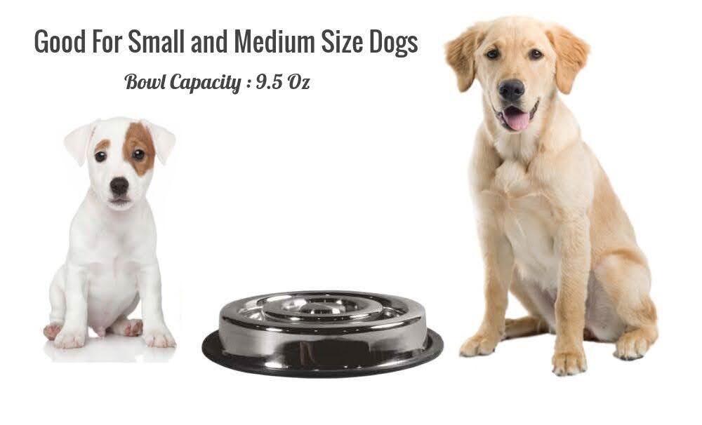 Picture of Indipets 800085 Spiral Slow Feed Bowls 9.5 Oz
