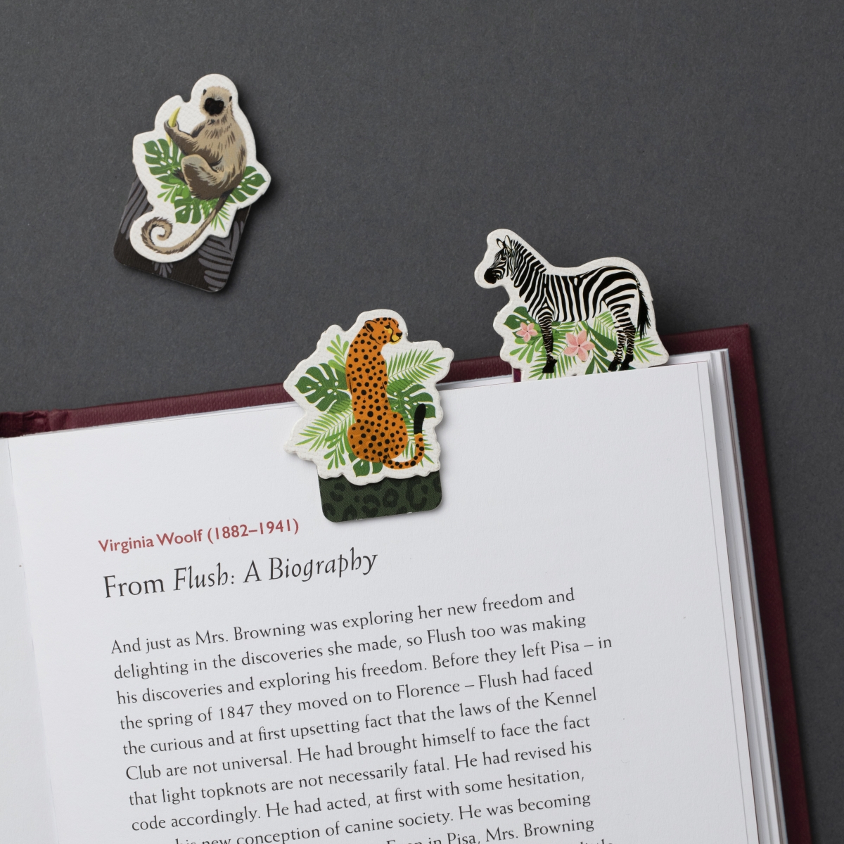 15904 Magnetic Mini Bookmark - Animals