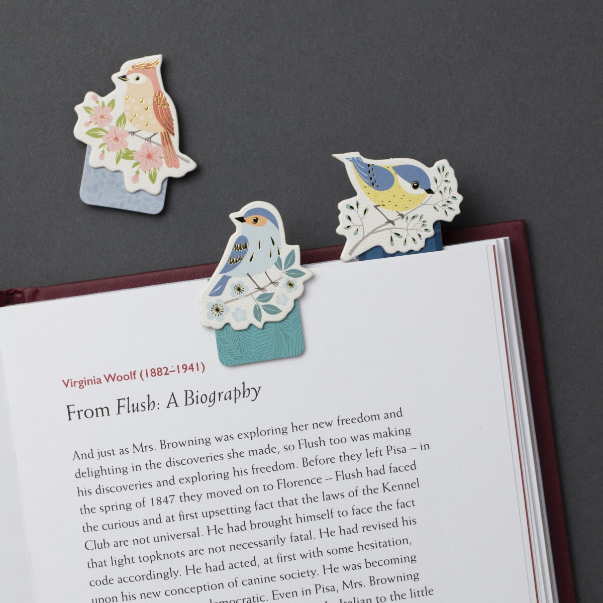 15906 Magnetic Mini Bookmark - Birds