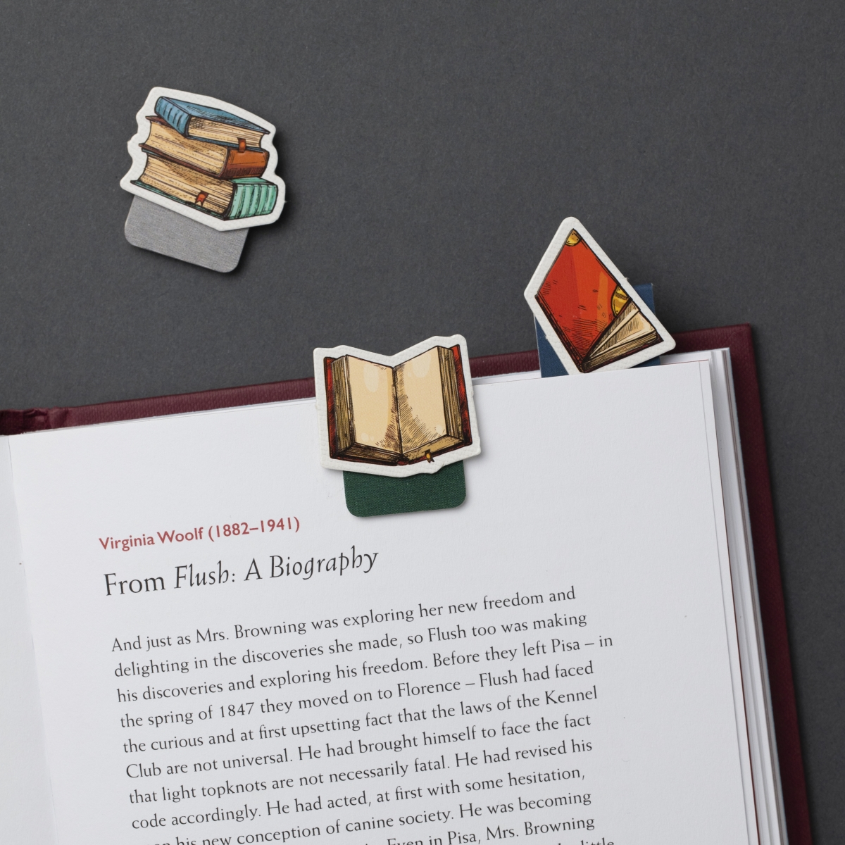 15907 Magnetic Mini Bookmark - Books