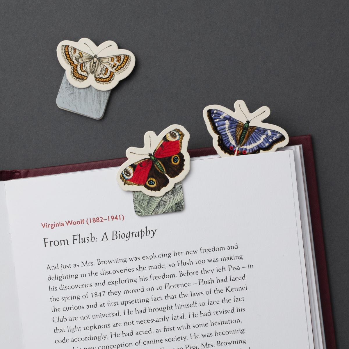 15908 Magnetic Mini Bookmark - Butterflies