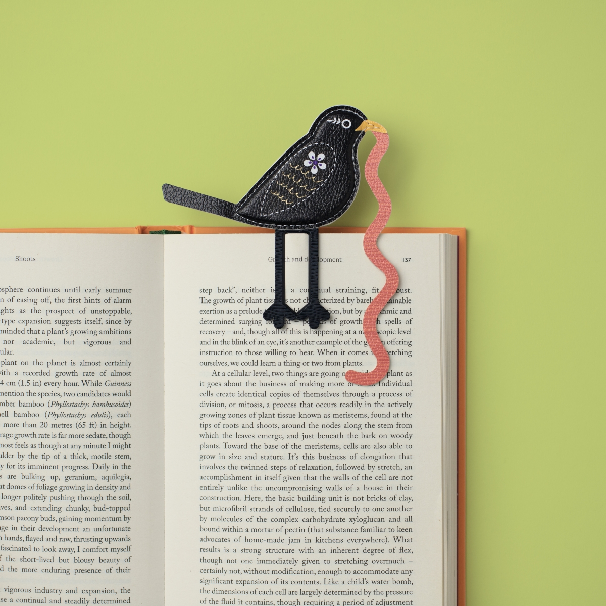 16601 The Early Bird Catches the Bookworm Bookmark - Blackbird