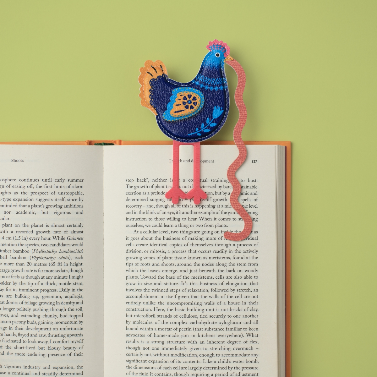 16602 The Early Bird Catches the Bookworm Bookmark - Chick