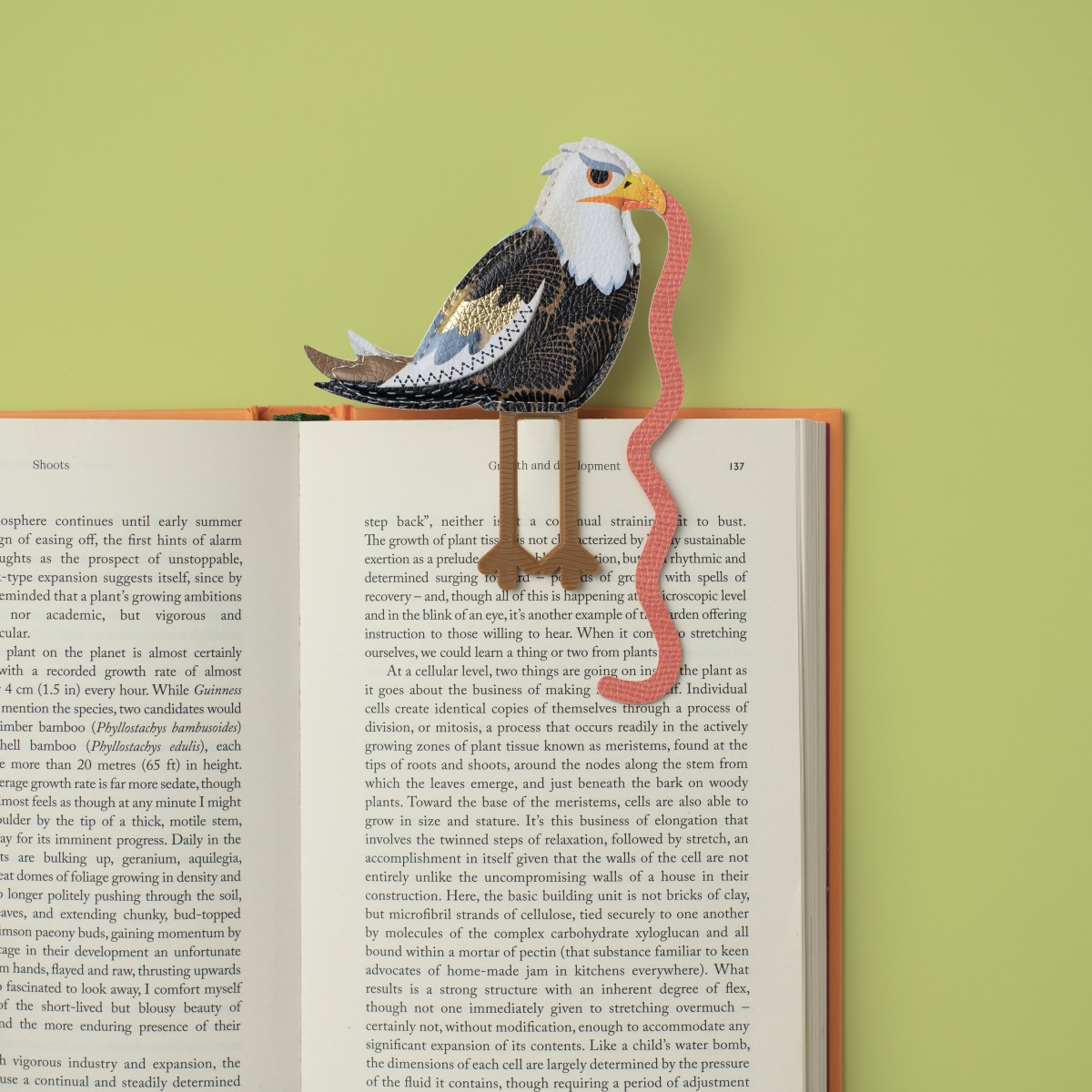 16603 The Early Bird Catches the Bookworm Bookmark - Eagle