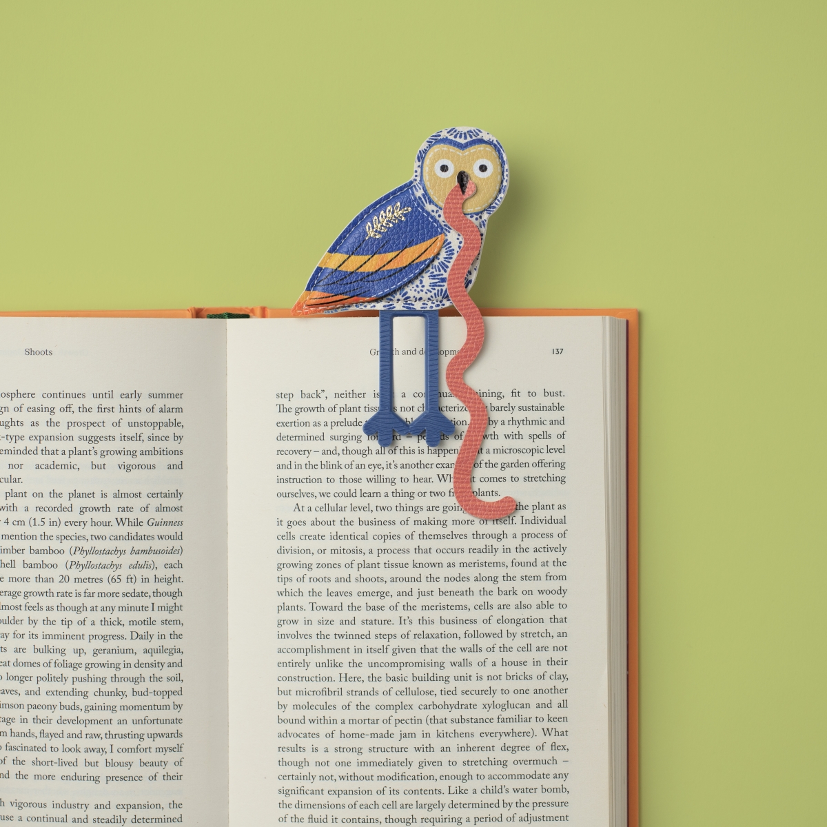 16604 The Early Bird Catches the Bookworm Bookmark - Owl