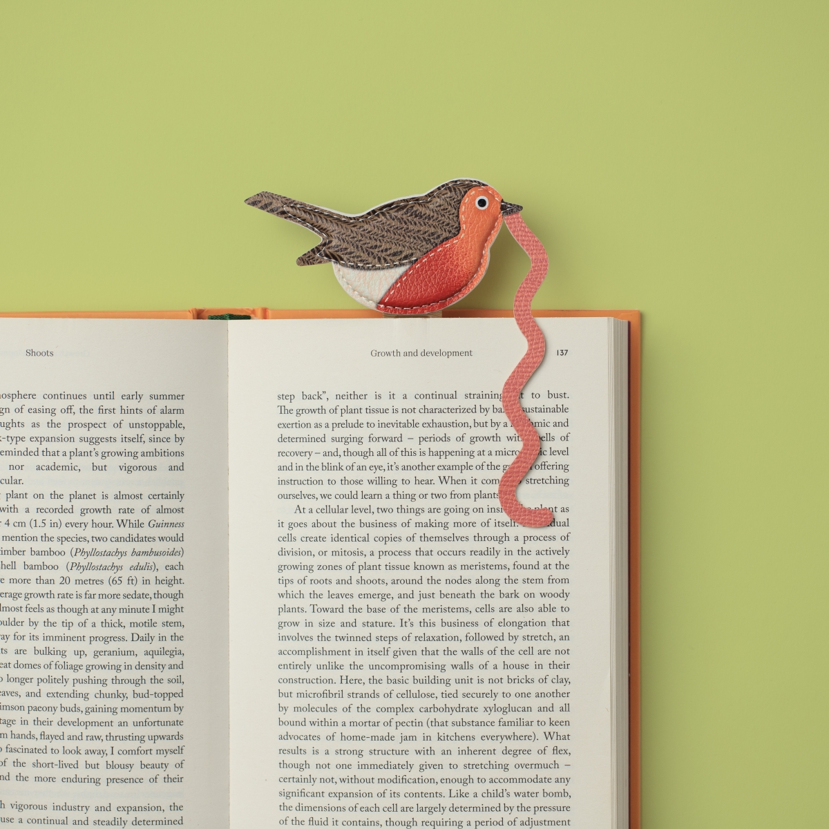 16605 The Early Bird Catches the Bookworm Bookmark - Robin