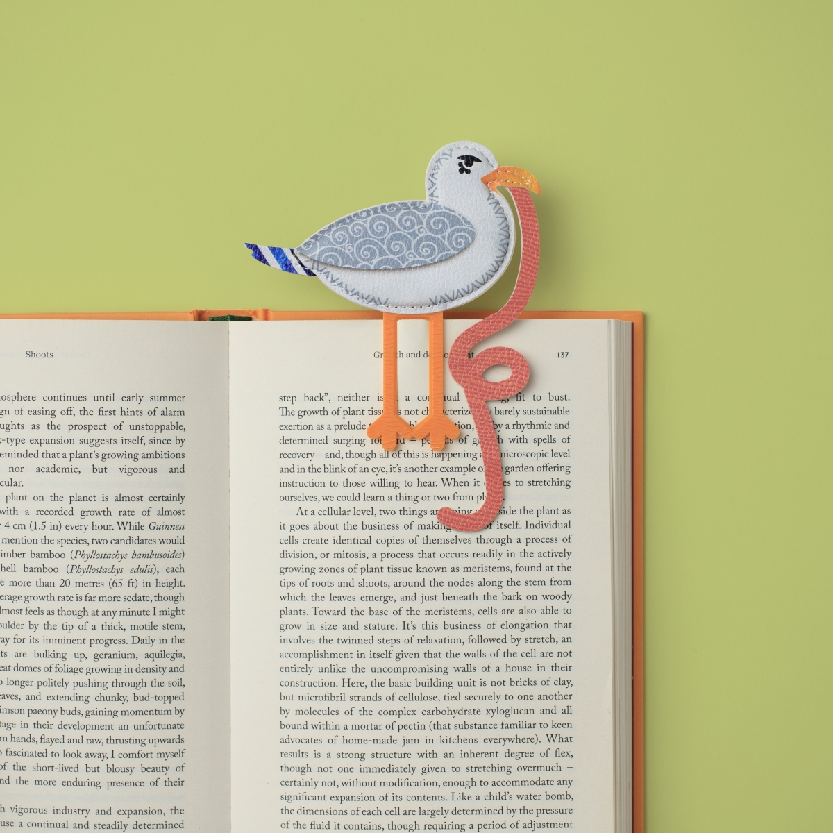 16606 The Early Bird Catches the Bookworm Bookmark - Seagull