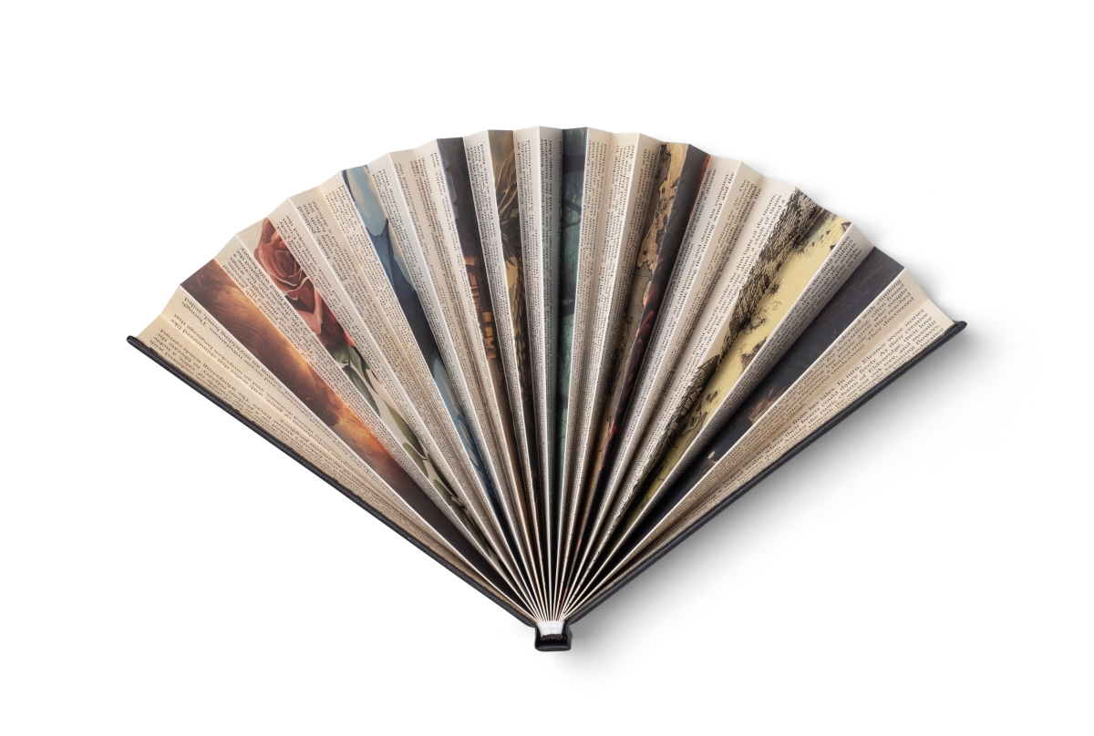 34904 Book Fan - Romantasy