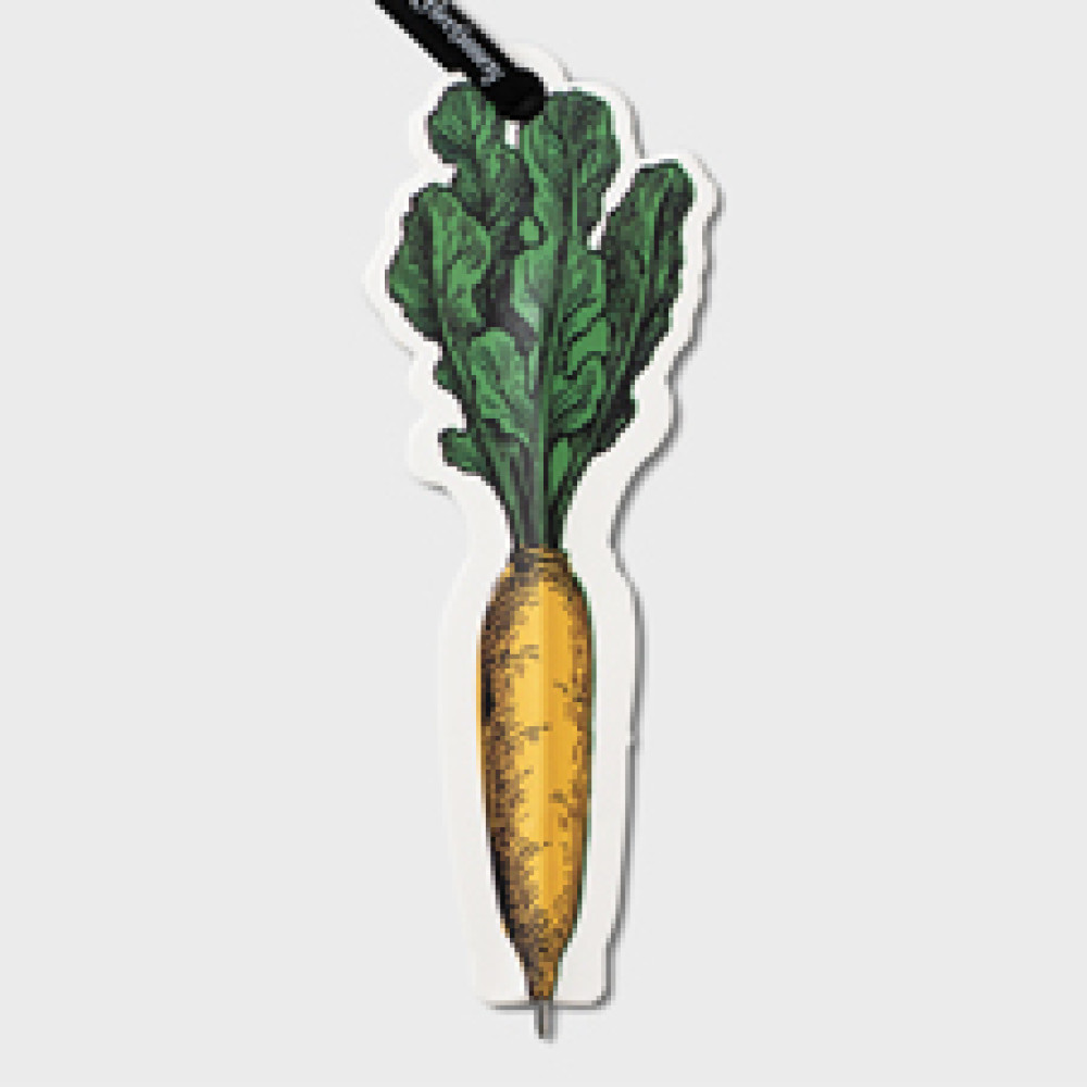 37803 Eclectionery Flat Bookmark Pen - Carrot