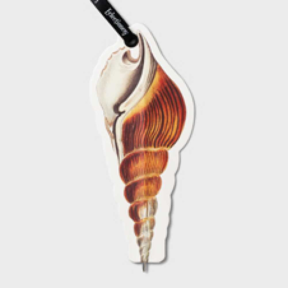 37819 Eclectionery Flat Bookmark Pen - Shell