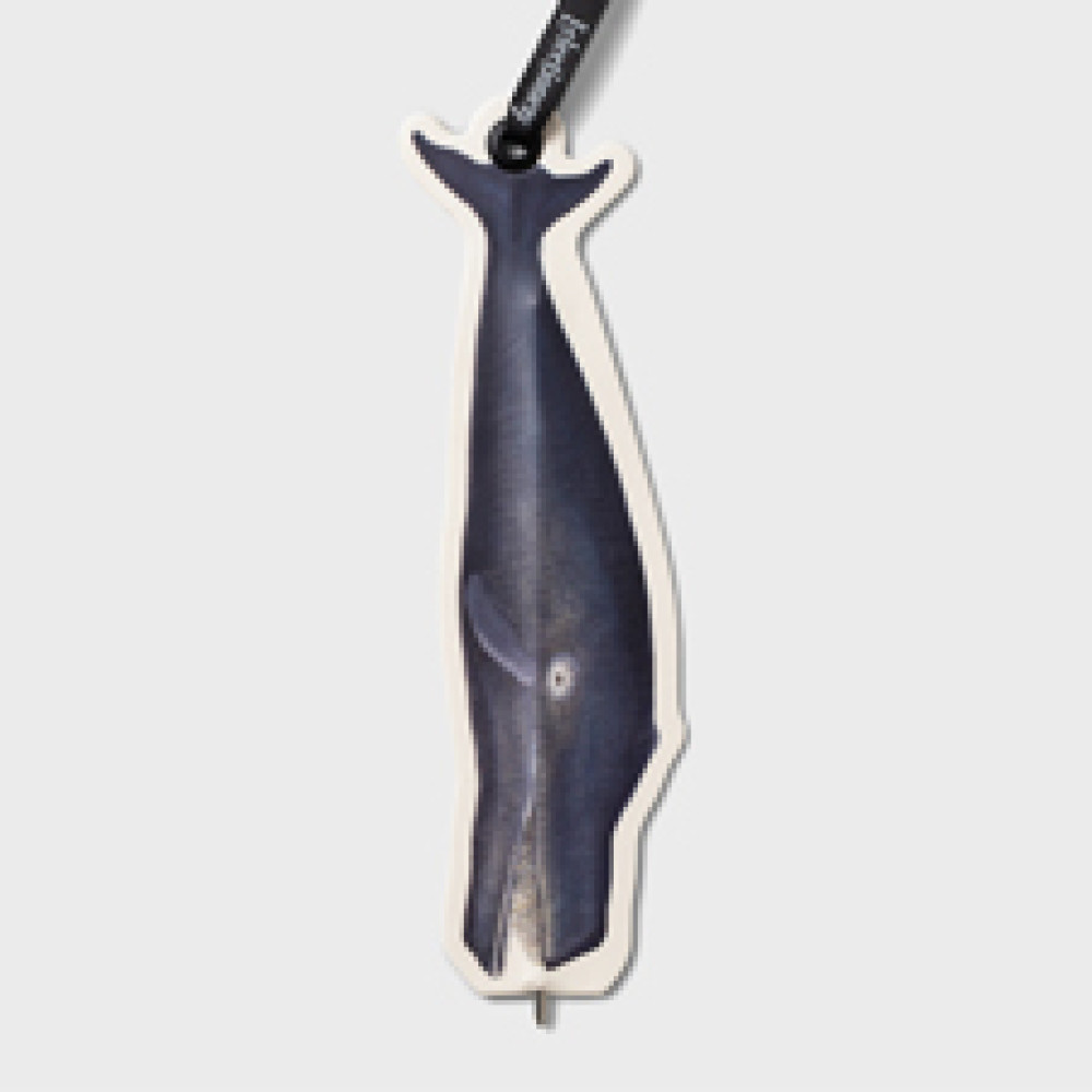 37823 Eclectionery Flat Bookmark Pen - Whale