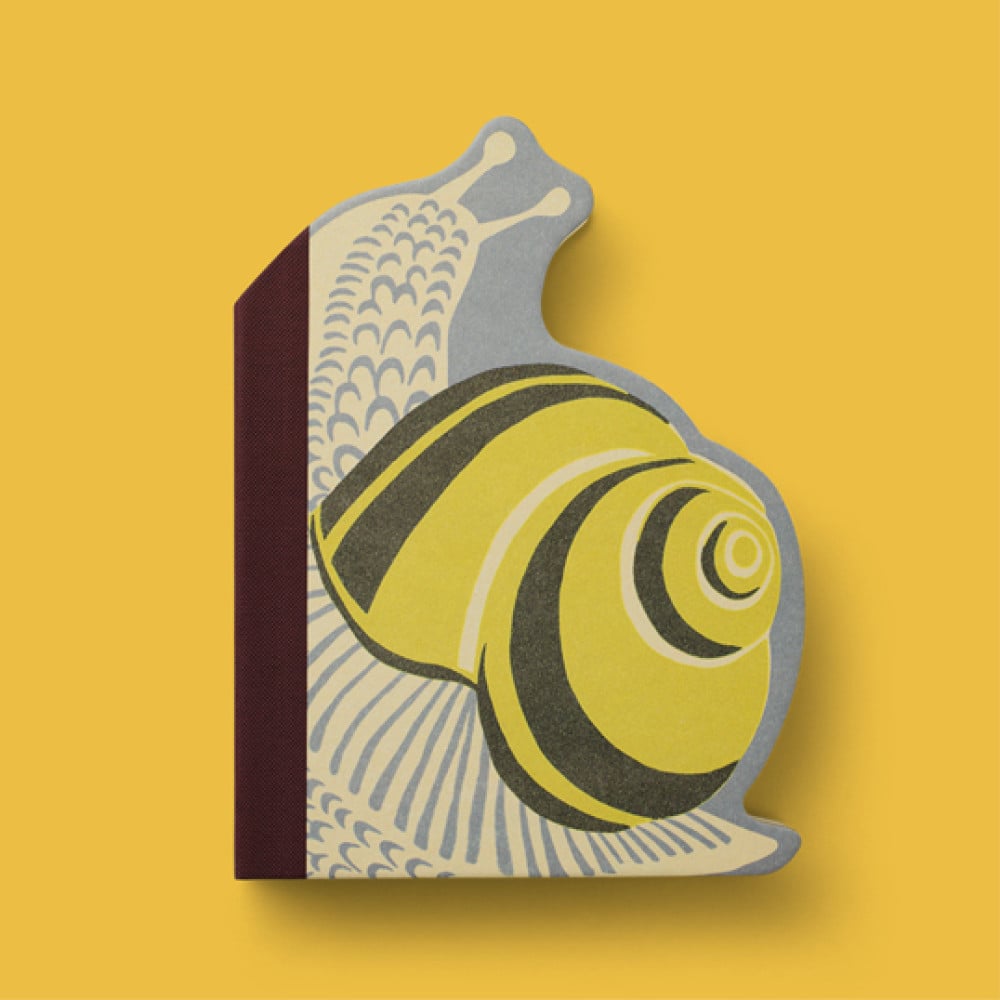 38608 Eclectionery Notable Books - Snail