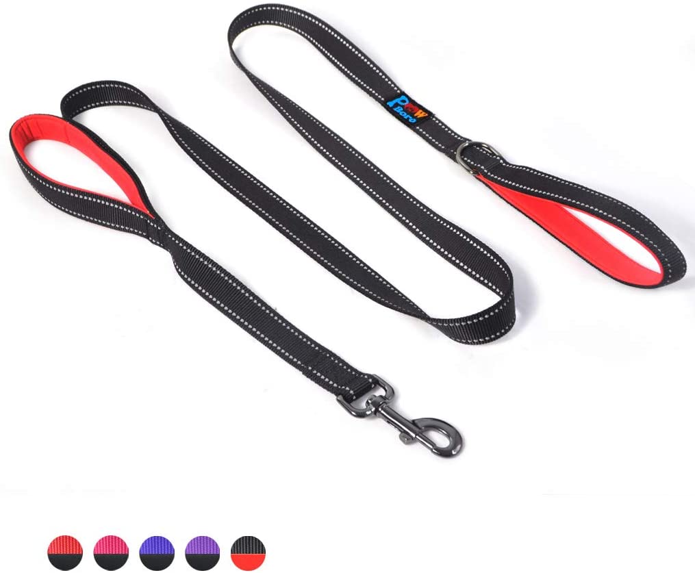 6 ft. Double Handle Dog Leash, Black