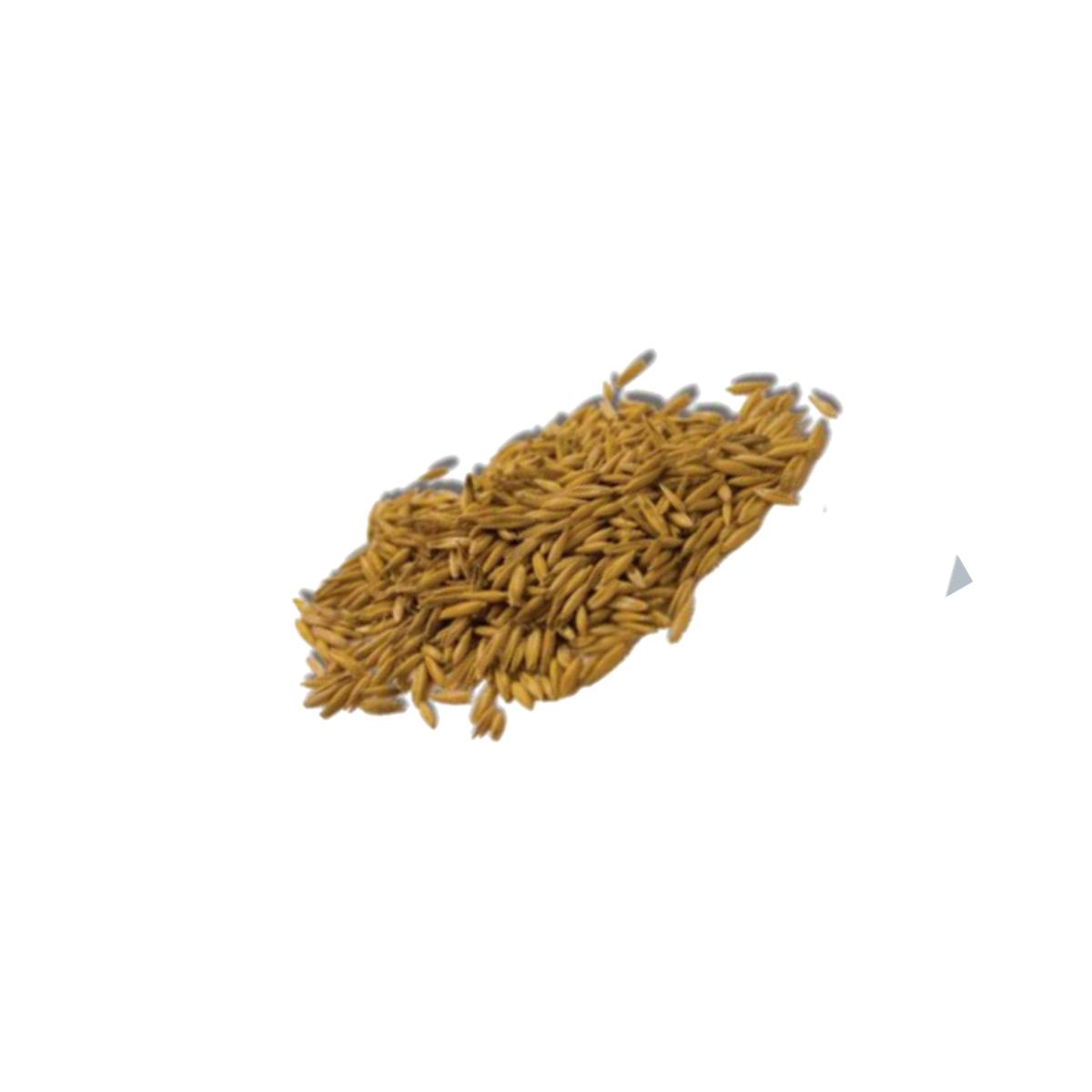 Picture of Imperial Cat 00120 Easy Grow Oat Seed - 4 oz.