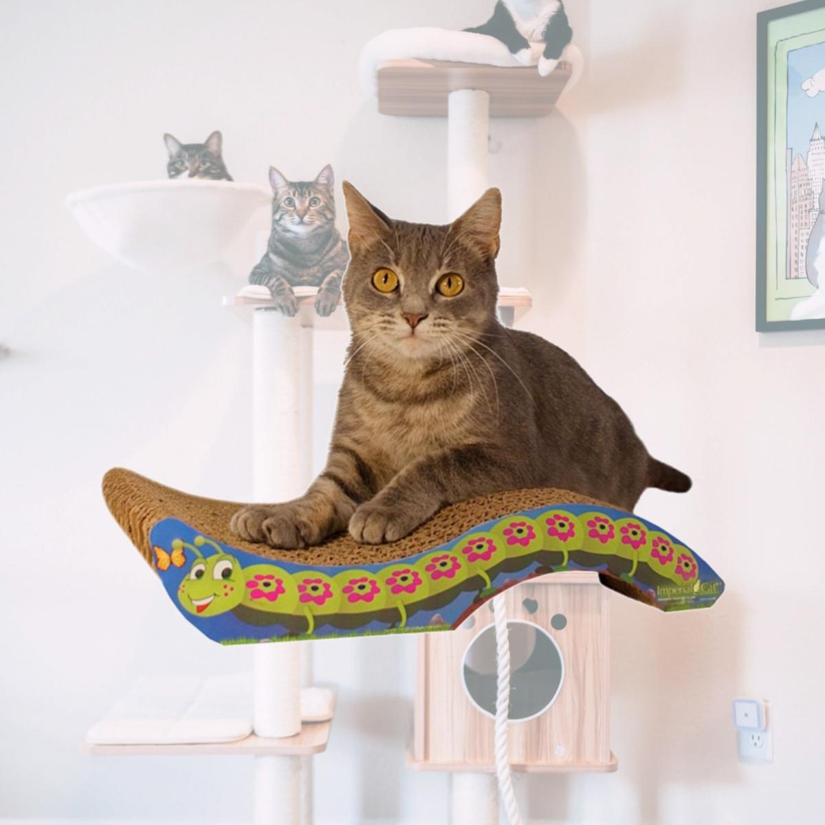 Picture of Imperial Cat 01117 Scratch N Shapes Caterpillar Cat Scratcher