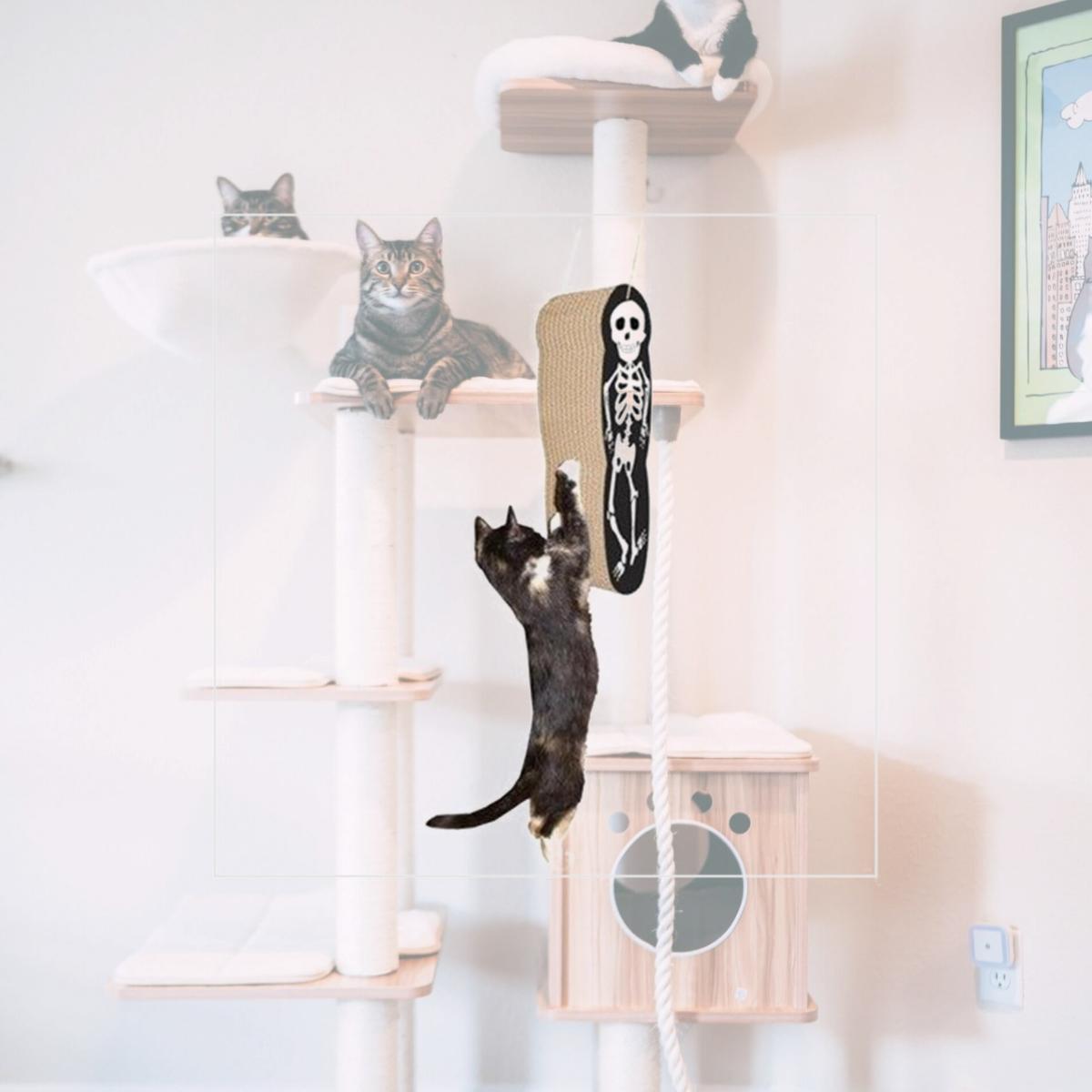Picture of Imperial Cat 01160 Skeleton Hanging Cat Scratcher