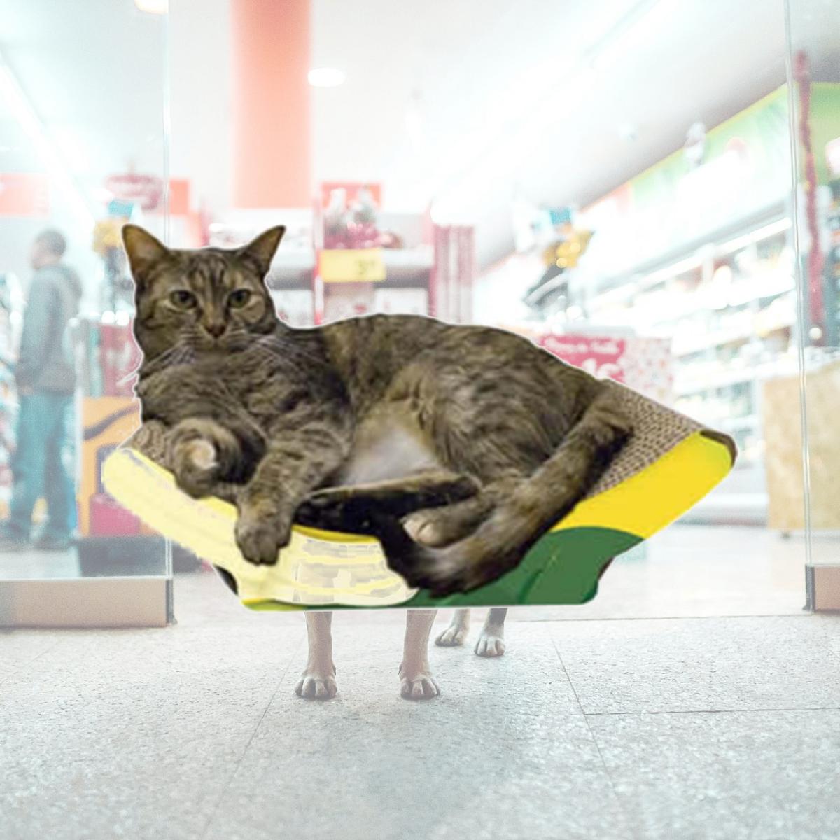 Picture of Imperial Cat 00137 Banana Cat Scratcher