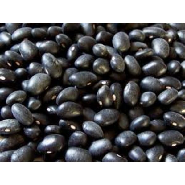 Picture of Bulk Grains HG2679215 1 lbs Black Beans - Case of 25