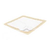 PRTUPP29020 23 x 36 in. Moderate Underpad