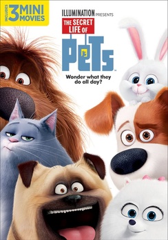 Picture of Universal Studios MCA D61172747D Secret Life of Pets DVD