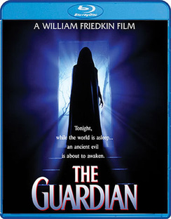 Picture of Alliance Entertainment CIN BRSF16408 The Guardian DVD - Blu Ray