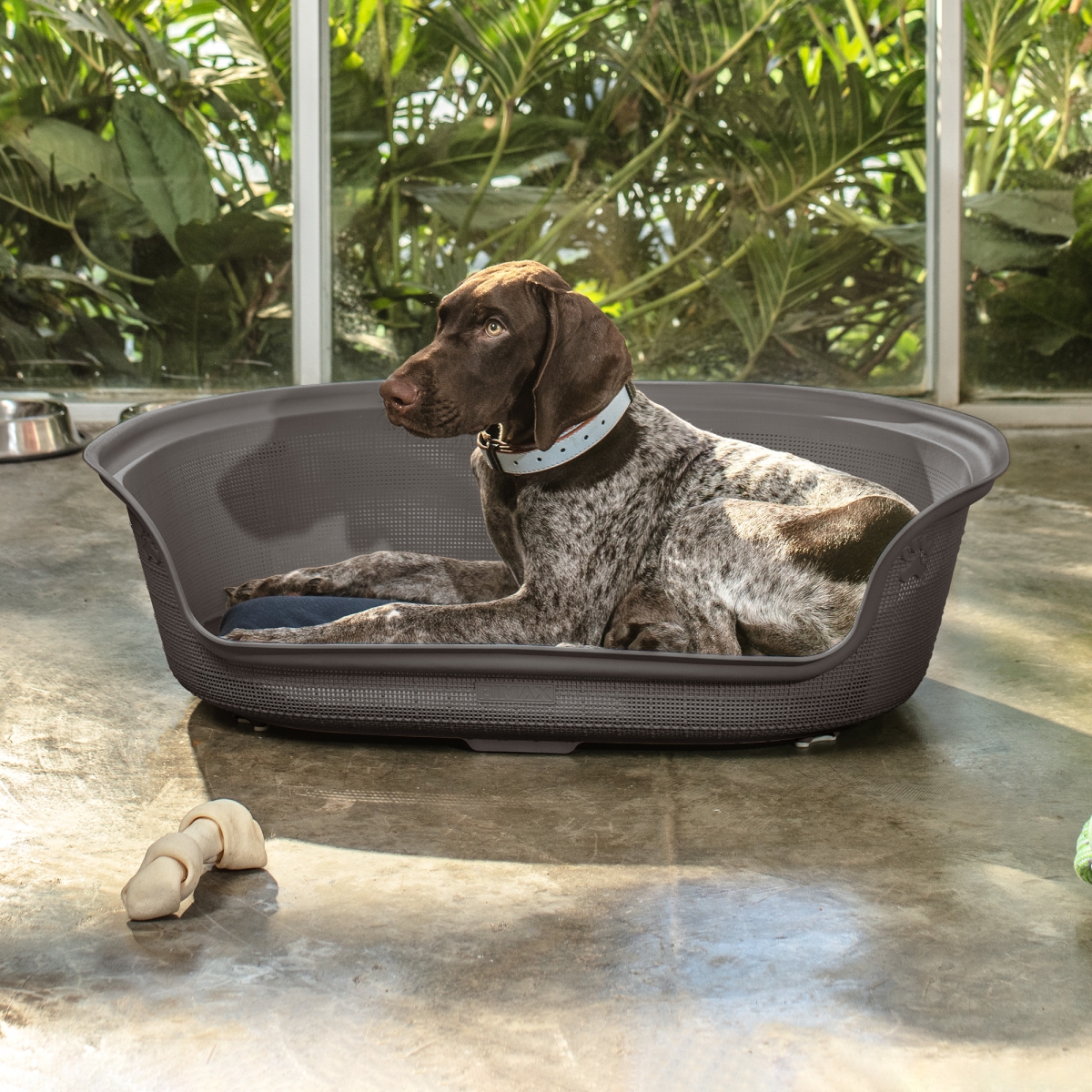 Picture of Rimax 13210 Rimax Dog Bed with Cushion&#44; Espresso & Multi Color