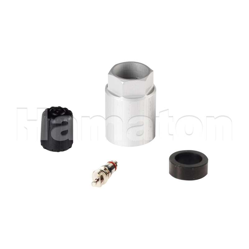 HAM6-118 Service Kits for Schrader Gen 2 & 3