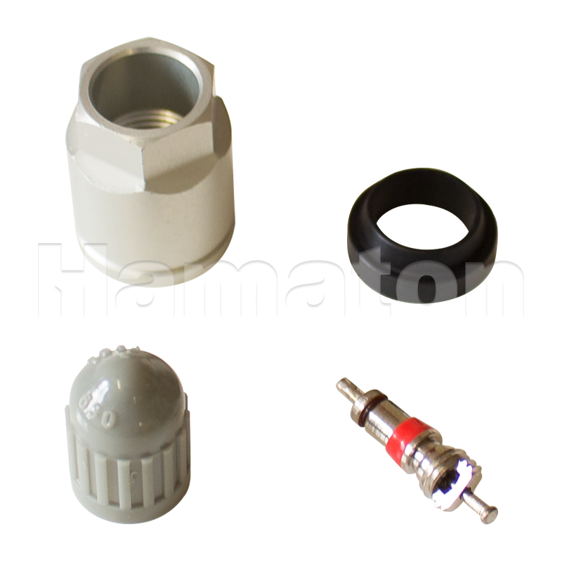 Service Kits for Schrader Gen 2-3