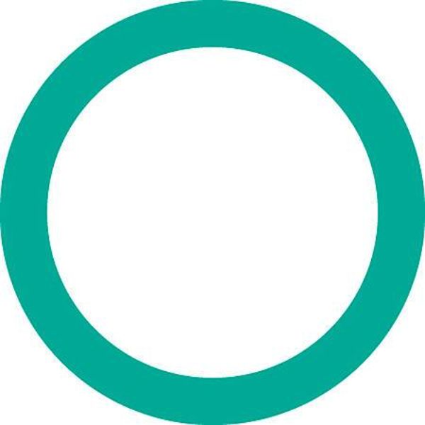 Replacement O-Ring - Black - Standard Size - High Quality Material